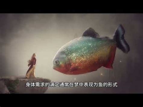 夢到龍魚號碼|夢到龍魚